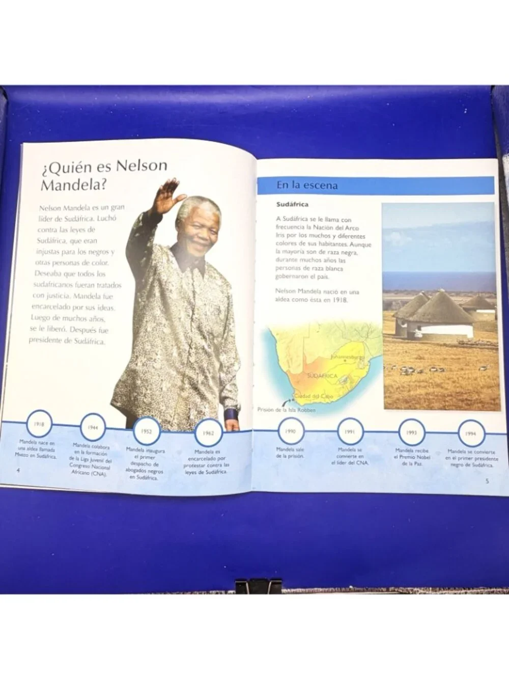 Nelson Mandela En Lucha Por La Libertad Biography Spanish PB Homeschool Reading